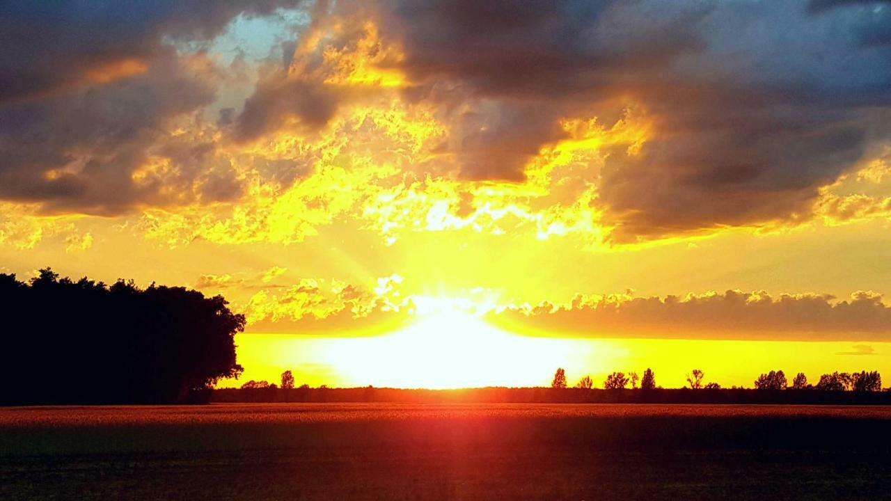 Ferienwohnungen Dirk Laurisch Radensdorf Exteriör bild