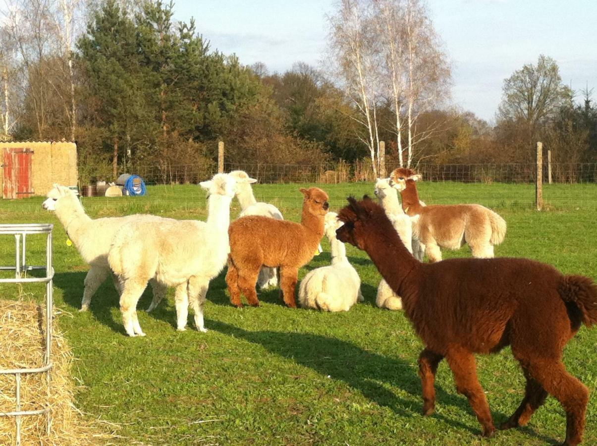 Ferienwohnungen Dirk Laurisch Radensdorf Exteriör bild