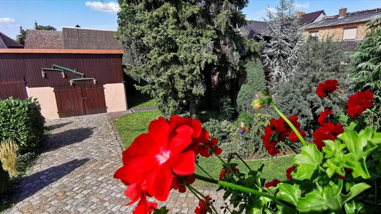 Ferienwohnungen Dirk Laurisch Radensdorf Exteriör bild